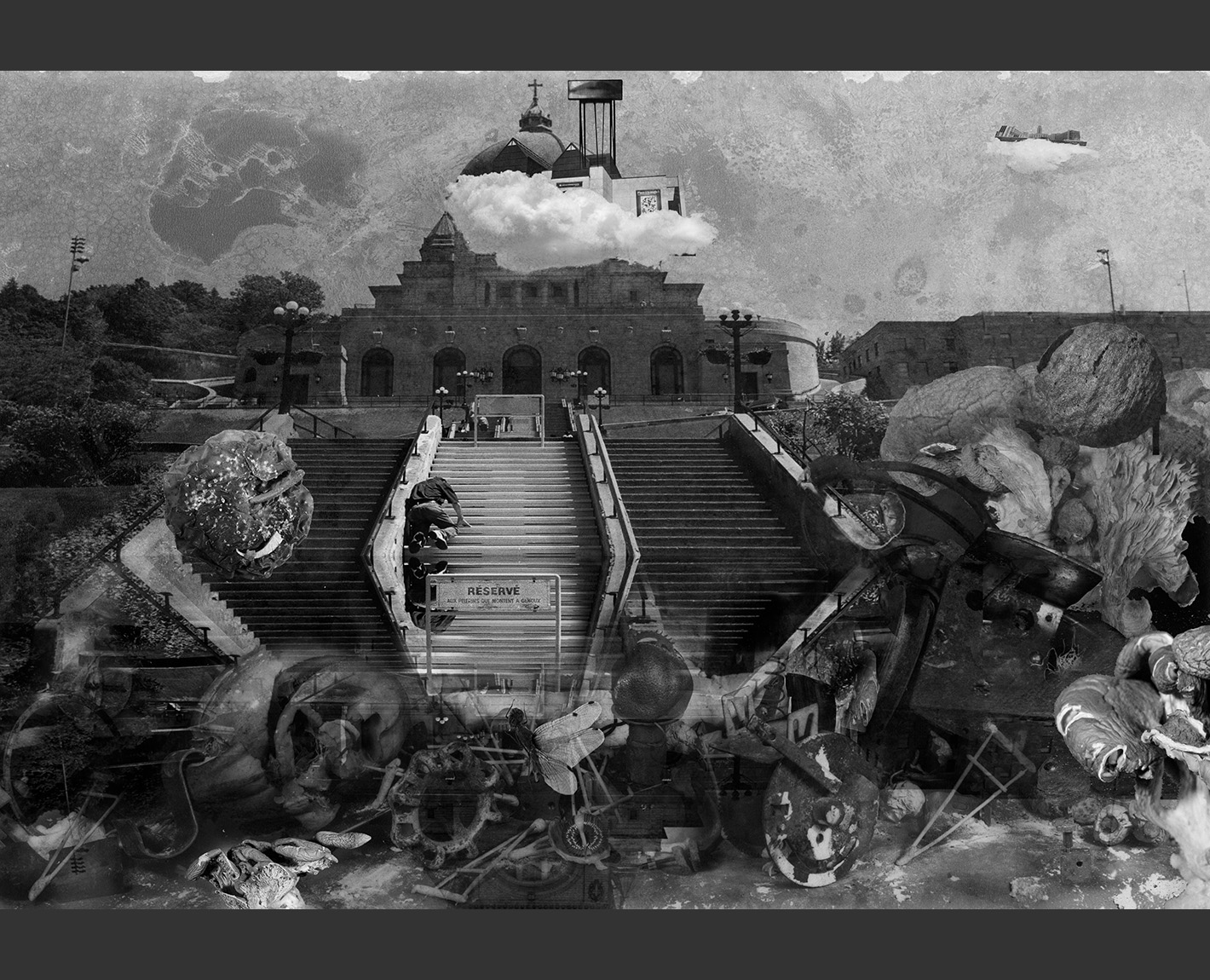 Dioptrics, Paul Lowry